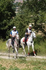 Italian Team won the Nations Cup at Gubbio