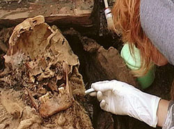 Descoberta na Mongólia - Múmia de guerreiro e dois cavalos