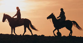 Investimento de 5 estrelas arranca em &Oacute;bidos