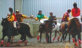 European Horseball junior camp at Nottingham