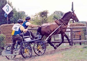 Double Gold for Britain at World Singles