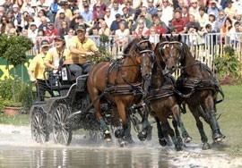 Chardon the Flying Dutchman