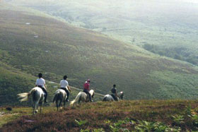 Sete portugueses no Cto. da Europa de Trec