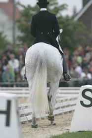 SAUMUR: Miguel Ralão Duarte em oitavo na Intermédia II