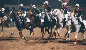 Apurados os semi-finalistas - Ta&ccedil;a de Portugal Horseball 2006