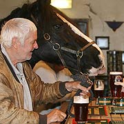 Horse bellies up to bar at English pub