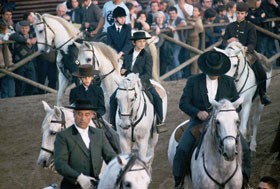 A Golegã… os Lusitanos… e os Lusitanos