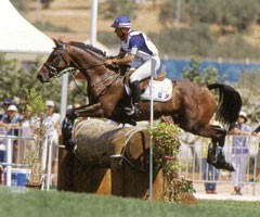 Dom&iacute;nio franc&ecirc;s nos CCI***/** de Pau