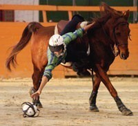 Britain to host International Horseball for Ladies