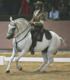 A good start for Portugal in the II World Working Equitation Championship