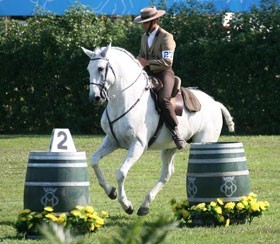 David Oliveira sagrou-se Campe&atilde;o do Mundo de Equita&ccedil;&atilde;o de Trabalho