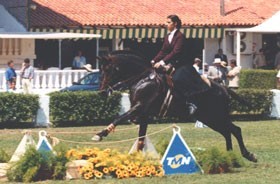 CML apoia o Mundial de Equita&ccedil;&atilde;o de Trabalho