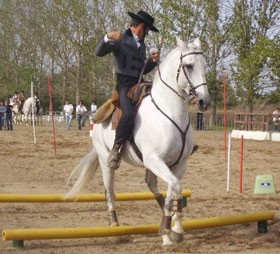 Triunfo de Pedro Torres em Salvaterra de Magos