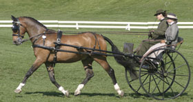 Marco Bay sold to Jozsef Farkas