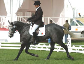 Mundial de Lion: Resultados provis&oacute;rios - Conjuntos nacionais