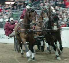 Tomas Eriksson in pole position