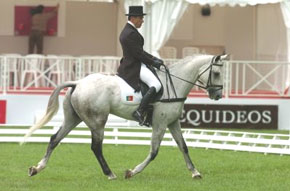 Carlos Grave brilhou em Madrid