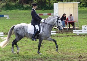 Actividades em curso na Goleg&atilde;