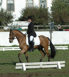 Resultados do CDE - Goleg&atilde;