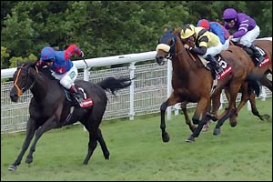 EU lifts suspension on Horse Exports from South Africa