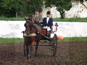 Concurso Completo de Atrelagem - Goleg&atilde;