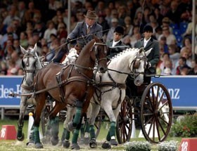Lusitanos retirados a Félix-Marie Brasseur...