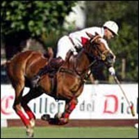 Gabriel Donoso Chile's top polo player dies in Argentina