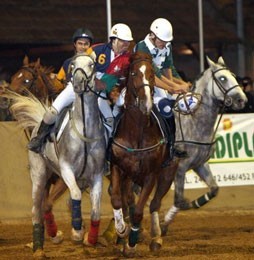 Horseball vai animar a Goleg&atilde;
