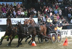 Freund again the one everybody is chasing in Stuttgart