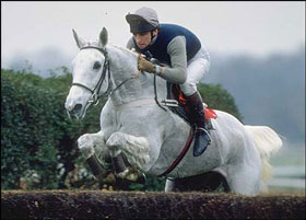 Champion steeplechaser Desert Orchid dies at 27