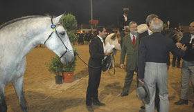 Goleg&atilde;: A melhor feira de sempre