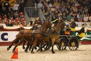 Freund mereceu vencer em Mechelen
