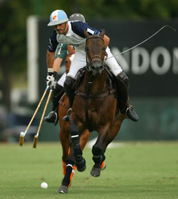 113° Cpto. Argentino Open de Pólo - La Dolfina versus La Aguada na final