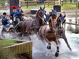 Boyd Exell out of action...