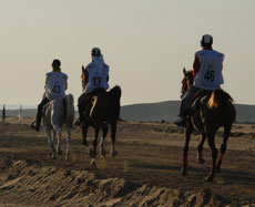 Al Hammadi triunfou no CEI3* do Dubai