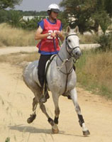 Mínimos Campeonato Nacional de Raides