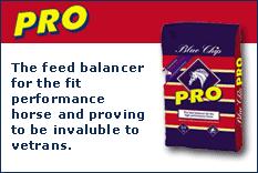 Seja revendedor dos produtos BLUE CHIP