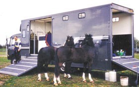 Animal transport to be improved in Europe