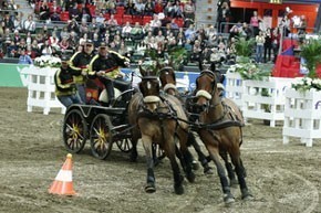 Michael Freund is the new FEI World Cup™ Driving Champion