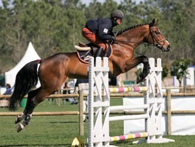 Atlantic Tour: Results of the 2º week - Young Horses