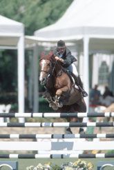 Peter Charles regressa a casa...