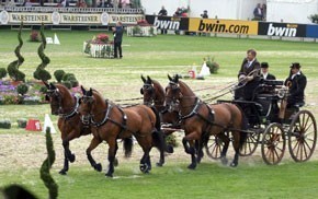 Christoph Sandmann looses top horse