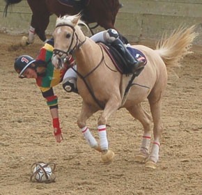 Col&eacute;gio Vasco da Gama acolheu a 3&ordf;Jornada do C.N.Horseball Sub-16