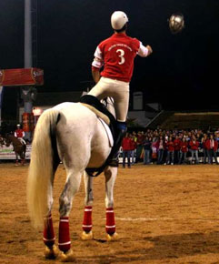 Horseball-Nacional Senior Misto come&ccedil;a este fim-de-semana