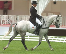 Fontainebleau: Carlos Grave em d&eacute;cimo quarto na Dressage