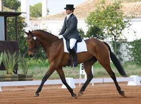 Barroca d'Alva: Frederico Mexia de Almeida destacou-se no ensino