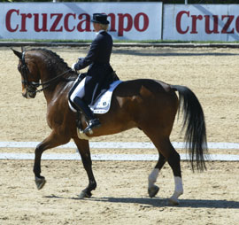 Sunshine Tour: The Spanish dressage riders were brilliant on day one