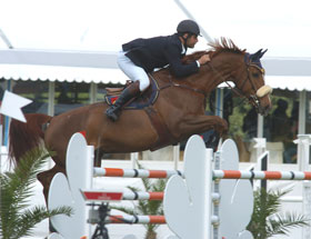 Rota do Sol: Dois portugueses na Grande Final para Cavalos Novos