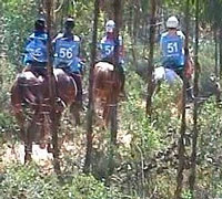 Troféu de Resistência Equestre - Serra de Montemuro