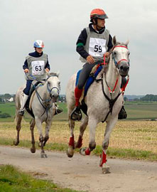 CEI 3* - 160 km - Trial Run